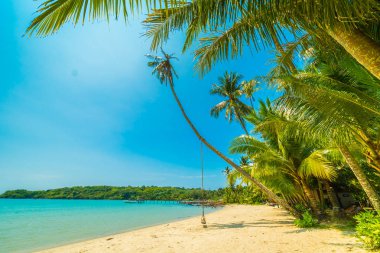 Güzel tropikal plaj ve deniz paradise Island Seyahat ve tatil için Hindistan cevizi hurma ağacı
