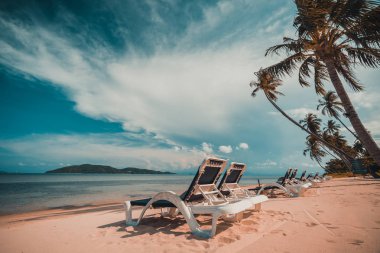 Güzel tropikal plaj ve Hindistan cevizi hurma ağacı ve Cennet Adası sandalyede denize sıfır