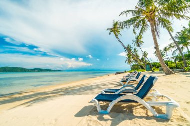 Güzel tropikal plaj ve Hindistan cevizi hurma ağacı ve Cennet Adası sandalyede denize sıfır
