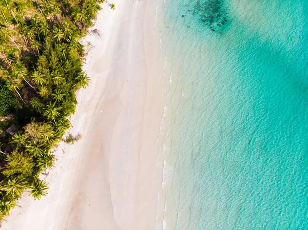 Plaj ve deniz paradise Island tatil için Hindistan cevizi hurma ağacı ile güzel havadan görünümü