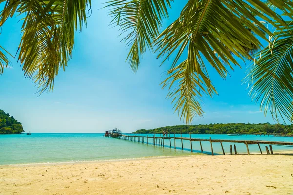 Belle Plage Tropicale Mer Avec Cocotier Dans Île Paradisiaque Pour — Photo