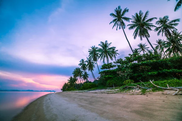 Pięknej Tropikalnej Plaży Morza Palmy Kokosowe Drzewo Czasie Wschodu Długi — Zdjęcie stockowe