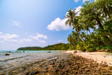 Güzel Cennet Adası ile Hindistan cevizi hurma ağacı - tatil tatil kavramı etrafında deniz ve plaj peyzaj