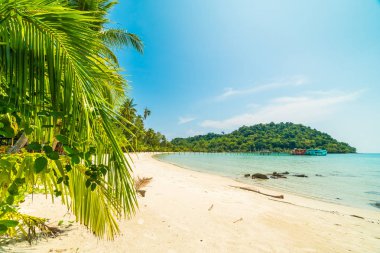 Güzel tropikal plaj ve deniz paradise Island Seyahat ve tatil için Hindistan cevizi hurma ağacı