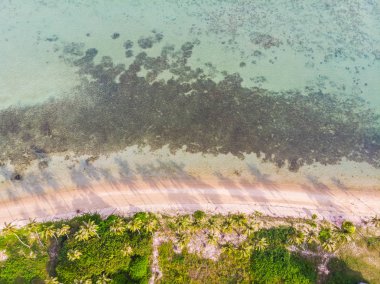Güzel tropikal plaj ve deniz hurma ve koh samui Adası seyahat ve tatil için diğer ağacında havadan görünümü