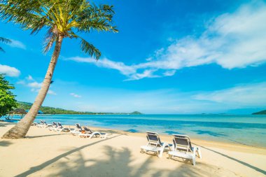 Güzel tropikal plaj ve Hindistan cevizi hurma ağacı ve Cennet Adası sandalyede denize sıfır