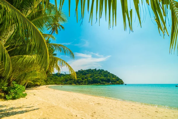 Hermosa Playa Tropical Mar Con Palmera Coco Isla Paradisíaca Para — Foto de Stock