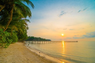 Plaj ve deniz Hindistan cevizi hurma ağacı günbatımı zaman - tatil tatil ve seyahat kavramı etrafında güzel Cennet Adası