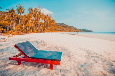 Güzel doğa tropikal plaj ve sandalye ve Hindistan cevizi hurma ağacı için cennet adasında denize sıfır tatil seyahat