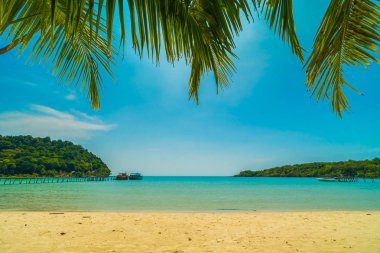 Güzel tropikal plaj ve deniz paradise Island Seyahat ve tatil için Hindistan cevizi hurma ağacı