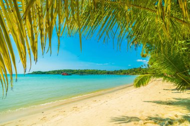 Güzel tropikal plaj ve deniz paradise Island Seyahat ve tatil için Hindistan cevizi hurma ağacı