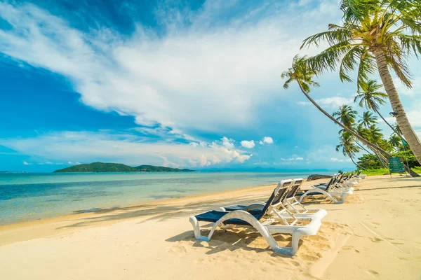 Güzel tropikal plaj ve Hindistan cevizi hurma ağacı ve Cennet Adası sandalyede denize sıfır