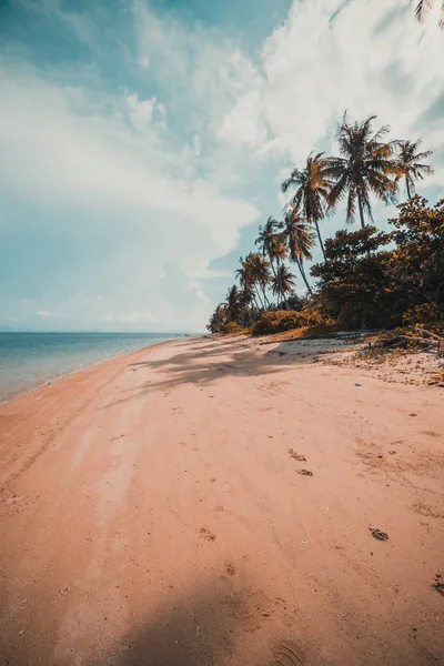 Güzel tropikal plaj ve Hindistan cevizi hurma ağacı Cennet Adası