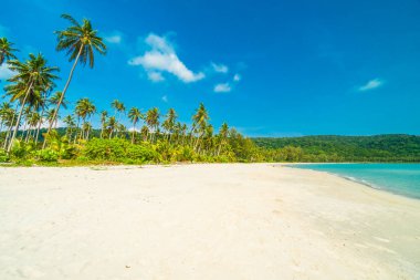 Güzel doğa tropikal plaj ve Hindistan cevizi hurma ağacı için cennet adasında tatil seyahat