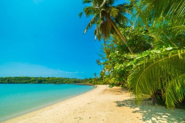 Güzel tropikal plaj ve deniz paradise Island Seyahat ve tatil için Hindistan cevizi hurma ağacı