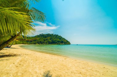 Güzel tropikal plaj ve deniz paradise Island Seyahat ve tatil için Hindistan cevizi hurma ağacı