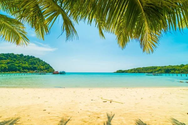 Hermosa Playa Tropical Mar Con Palmera Coco Isla Paradisíaca Para —  Fotos de Stock