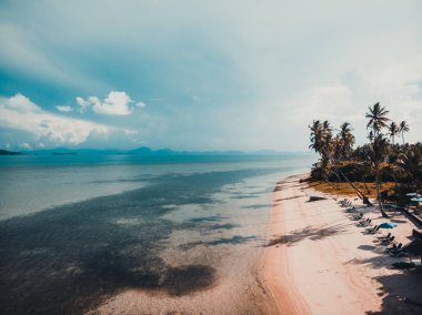 Güzel tropikal plaj ve deniz hurma ve koh samui Adası seyahat ve tatil için diğer ağacında havadan görünümü