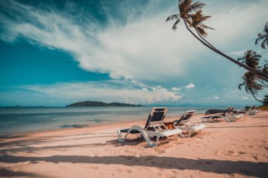 Güzel tropikal plaj ve Hindistan cevizi hurma ağacı ve Cennet Adası sandalyede denize sıfır