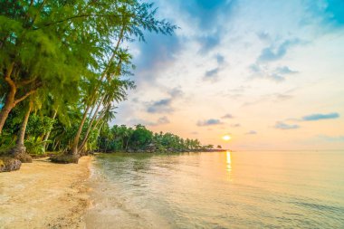 Plaj ve deniz Hindistan cevizi hurma ağacı günbatımı zaman - tatil tatil ve seyahat kavramı etrafında güzel Cennet Adası