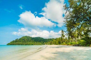 Güzel tropikal plaj ve deniz paradise Island Seyahat ve tatil için Hindistan cevizi hurma ağacı