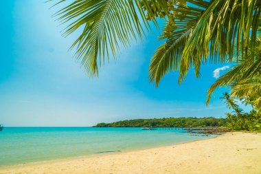 Güzel tropikal plaj ve deniz paradise Island Seyahat ve tatil için Hindistan cevizi hurma ağacı