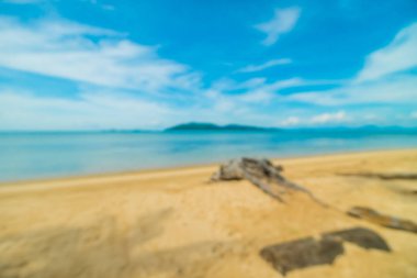 Soyut bulanıklık ve tropikal plaj ve deniz seyahat ve tatil için Hindistan cevizi hurma ağacı arka plan ile defocused