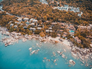 Güzel tropikal plaj ve deniz hurma ve koh samui Adası seyahat ve tatil için diğer ağacında havadan görünümü