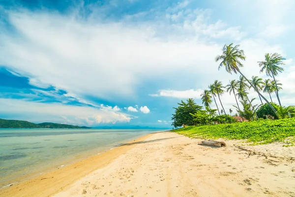 Beautiful Tropical Beach Sea Coconut Palm Tree Paradise Island — Stock Photo, Image