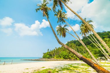 Güzel tropikal plaj ve deniz paradise Island Seyahat ve tatil için Hindistan cevizi hurma ağacı