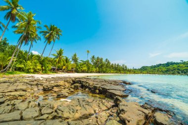 Güzel tropikal plaj ve deniz paradise Island Seyahat ve tatil için Hindistan cevizi hurma ağacı