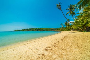 Güzel tropikal plaj ve deniz paradise Island Seyahat ve tatil için Hindistan cevizi hurma ağacı