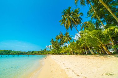 Güzel tropikal plaj ve deniz paradise Island Seyahat ve tatil için Hindistan cevizi hurma ağacı