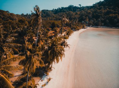 Güzel doğa tropikal plaj ve deniz kayık tekne ve Hindistan cevizi hurma ağacı Cennet Adası için seyahat etmek tatil