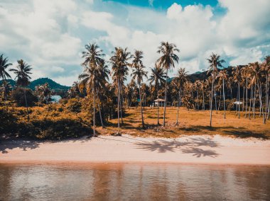 Güzel tropikal plaj ve deniz hurma ve koh samui Adası seyahat ve tatil için diğer ağacında havadan görünümü