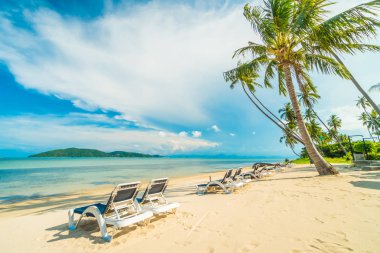 Güzel tropikal plaj ve Hindistan cevizi hurma ağacı ve Cennet Adası sandalyede denize sıfır