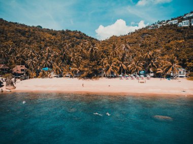 Güzel tropikal plaj ve deniz hurma ve koh samui Adası seyahat ve tatil için diğer ağacında havadan görünümü
