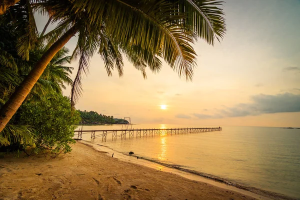 Hermosa Isla Paradisíaca Con Playa Mar Alrededor Palmera Coco Atardecer — Foto de Stock