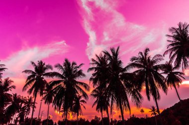 Gökyüzü günbatımı zaman - Vintage filtre tropikal doğa ve siluet Hindistan cevizi hurma ağacı ile güzel açık görünüm