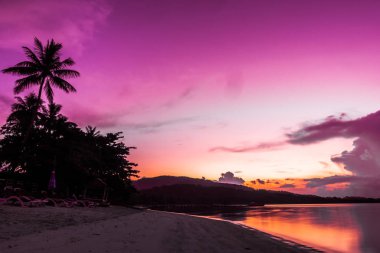 Güzel açık görünüm ea okyanus ve plaj tropikal Hindistan cevizi hurma ağacı gündoğumu zaman tatil tatil ve seyahat için
