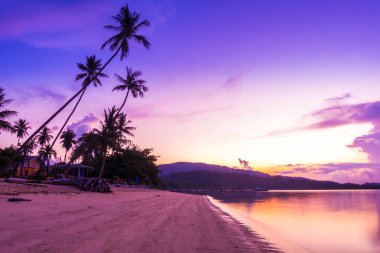 Güzel açık görünüm ea okyanus ve plaj tropikal Hindistan cevizi hurma ağacı gündoğumu zaman tatil tatil ve seyahat için