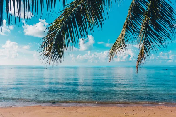 Beautiful Outdoor Tropical Beach Sea Paradise Island Coconut Palm Tree — Stock Photo, Image