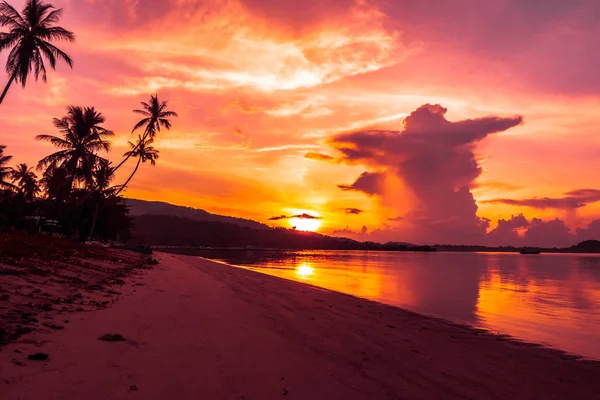 Gyönyörű Szabadtéri Kilátással Beach Parktól Trópusi Kókusz Pálma Napkelte Idő — Stock Fotó