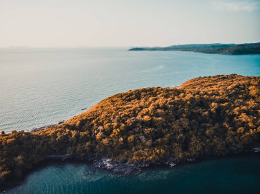 Plaj ve deniz paradise Island tatil için Hindistan cevizi hurma ağacı ile güzel havadan görünümü
