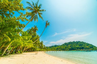 Güzel tropikal plaj ve deniz paradise Island Seyahat ve tatil için Hindistan cevizi hurma ağacı