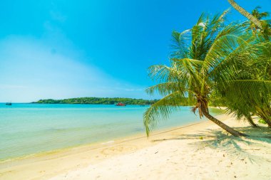 Güzel tropikal plaj ve deniz paradise Island Seyahat ve tatil için Hindistan cevizi hurma ağacı