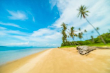 Soyut bulanıklık ve tropikal plaj ve deniz seyahat ve tatil için Hindistan cevizi hurma ağacı arka plan ile defocused