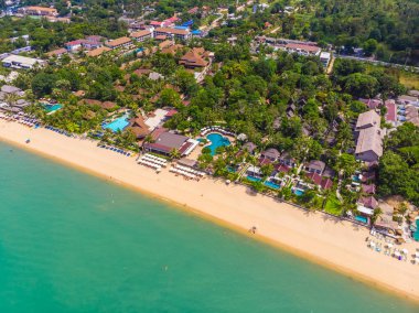 Güzel tropikal plaj ve deniz hurma ve koh samui Adası seyahat ve tatil için diğer ağacında havadan görünümü