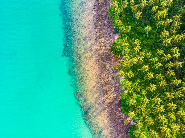 Вид Воздуха Пляж Море Кокосовой Пальмой Острове Парадизе Отдыха — стоковое фото