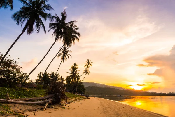 Belle Vue Extérieure Océan Plage Avec Cocotier Tropical Lever Soleil — Photo